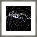 Spirit Animal . Spider Framed Print