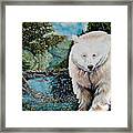 Spirit Bear Framed Print