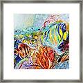 Splash Of Life #14 Red Sea Framed Print