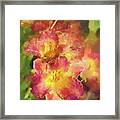 Splash Of Summer Framed Print