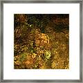 Spring 2017 142 Framed Print