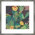 Spring And Prickly Pear Cactus Framed Print
