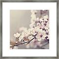 Spring Blossom In Pastel Colors Framed Print