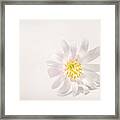 Spring Blossom Framed Print