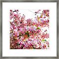 Spring Blossoms Belknap Mill Framed Print