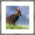 Spring Bunny Framed Print