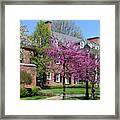 Spring Color At Stranahan Manor House 0632 Framed Print
