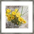 Spring Crocus Framed Print