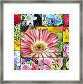 Spring Floral Collage Framed Print