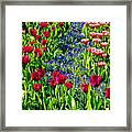 Spring Flowers Impression Framed Print