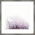 #spring #flowers #tree #college #pink Framed Print