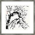 Spring In Black And White - A Branch Of Almond Blossom  Framed Print