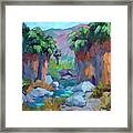 Spring In Indian Canyon Framed Print