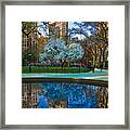 Spring In Madison Square Park Framed Print