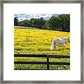 Spring In Tennessee Framed Print