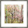 Spring In The Forest Framed Print