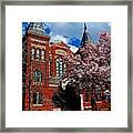 Spring In Washington Dc Framed Print