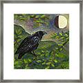 Spring Moon Raven Framed Print