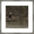 Spring On The Potomac Framed Print