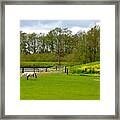 Spring Pastures Panoramic Framed Print