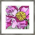 Spring Pink Framed Print