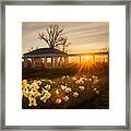 Spring Providence Framed Print