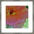 Spring Rain Framed Print