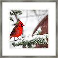 Snowbird Framed Print