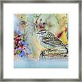Spring Sparrow Framed Print