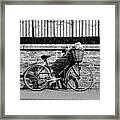 Spring Sunshine And Shadows In Black And White Framed Print