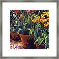 Spring Tulip Pots Framed Print