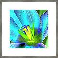 Spring Tulips - Photopower 3150 Framed Print