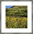 Spring Wildflowers In The Santa Susana Mountains - Vertical Framed Print