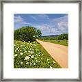 Springtime On The Loop Framed Print