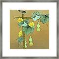 Squash Vine And Bamboo Framed Print