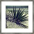 St. Simons Beach Palms Framed Print
