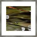 Stability Among Chaos Framed Print