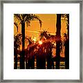 Stack Of Palms In A Orange Sky Framed Print