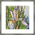 Stained Iris Framed Print