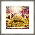 Stairway To The Garden Framed Print