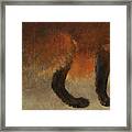 Stalking Fox Framed Print