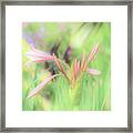 Stand Out Framed Print