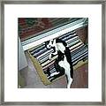 Stand With One Leg Framed Print