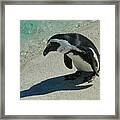 Standing Here Just Me And My Shadow Framed Print