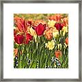 Standing Out Framed Print