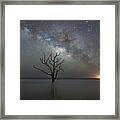 Standing Still Framed Print