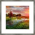 Standing Tall At Sunset Framed Print