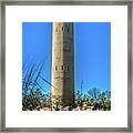 Standing Tall Framed Print