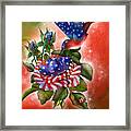 Star Spangled Hummer Framed Print