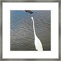 Staredown At Hunting Beach State Park - March 31, 2017 Framed Print